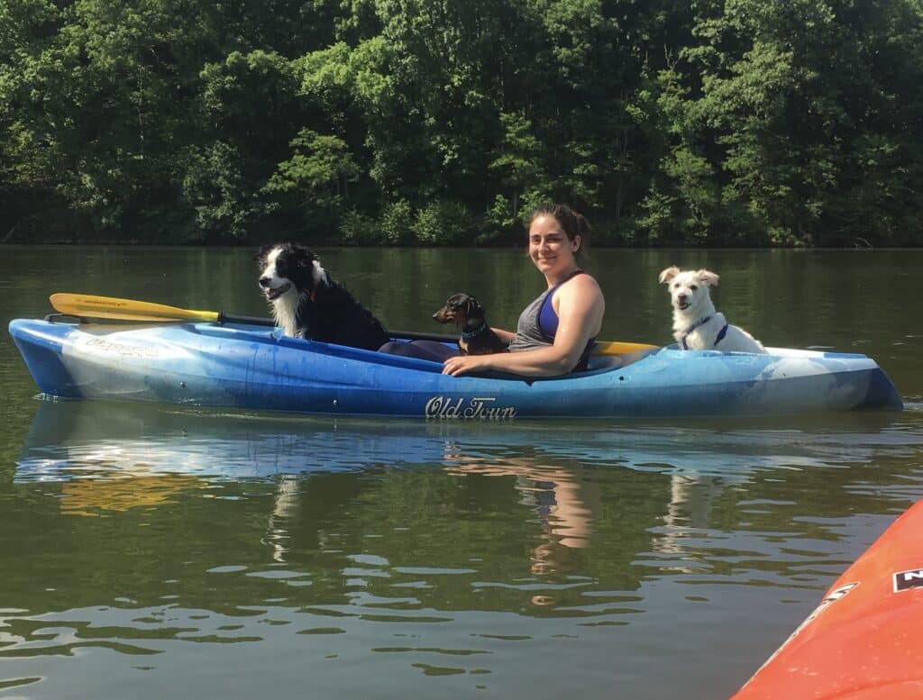dogs on a kayak